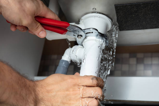 Best Flood restoration services  in Las Quintas Fronterizas, TX