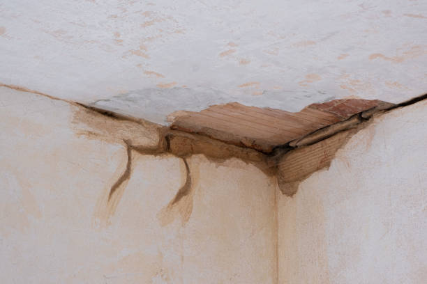 Water damage restoration process in Las Quintas Fronterizas, TX