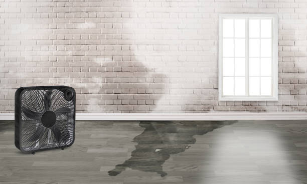 Best Residential water damage restoration  in Las Quintas Fronterizas, TX