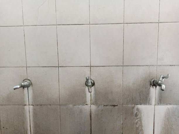 Best Carpet water damage restoration  in Las Quintas Fronterizas, TX