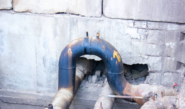 Best 24/7 water damage repair  in Las Quintas Fronterizas, TX