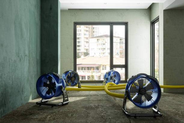 Best Residential water damage restoration  in Las Quintas Fronterizas, TX