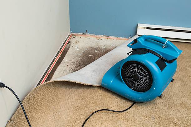 Local water damage restoration in Las Quintas Fronterizas, TX